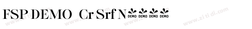 FSP DEMO   Cr Srf N字体转换